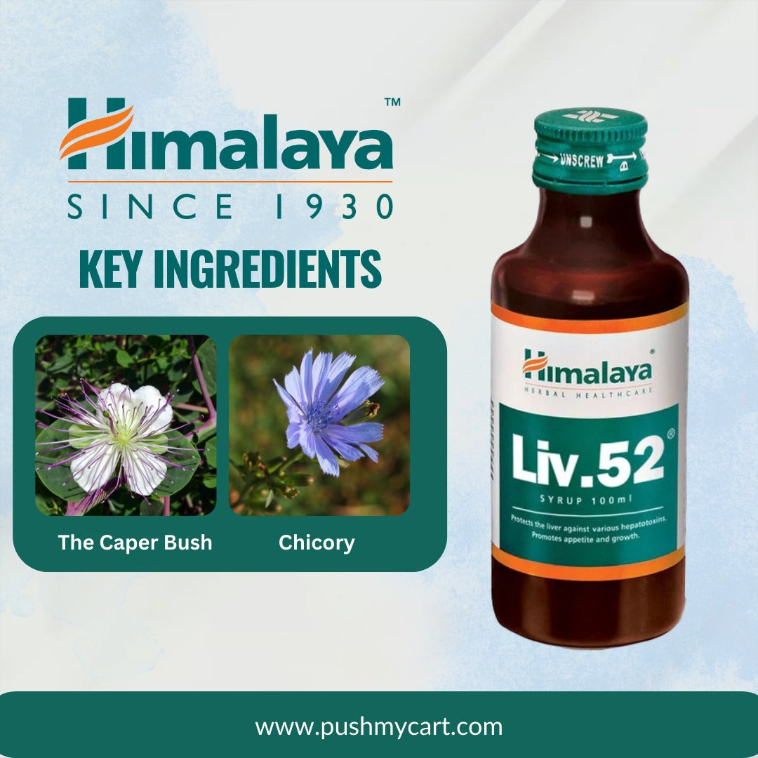 key ingredients of Himalaya Liv.52 Syrup