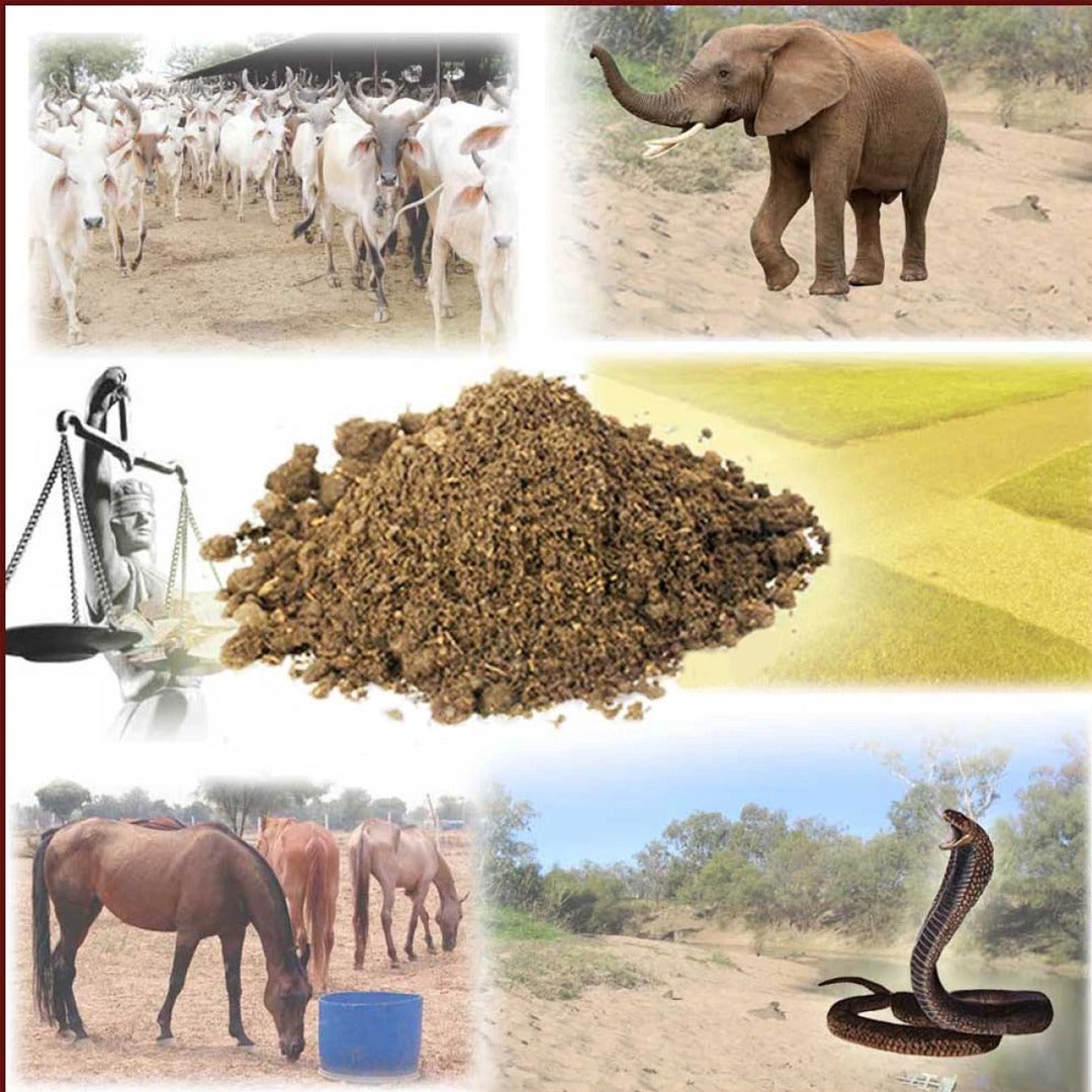 Vedicvaani Sapta Mritika (Mitti)