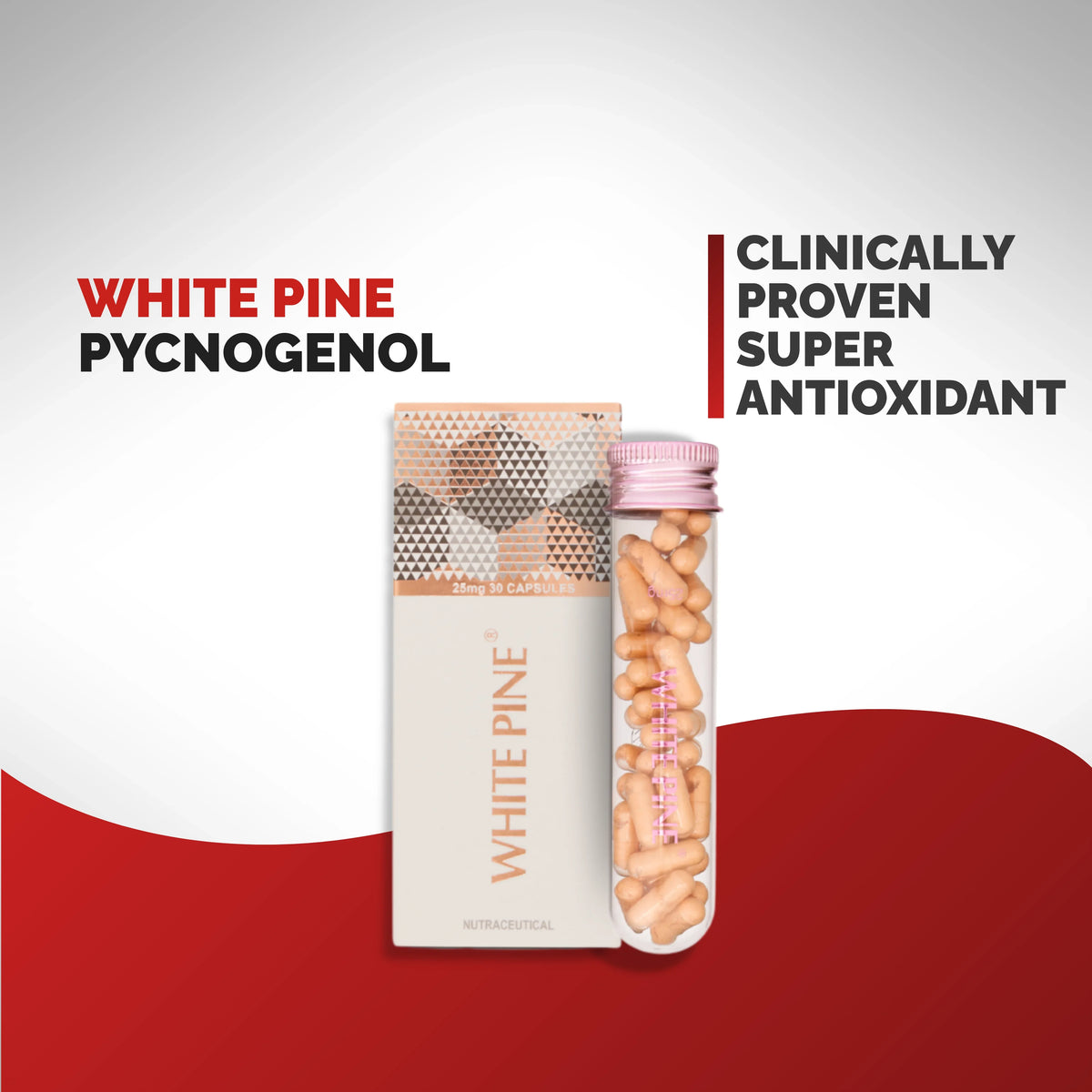 Chosen White Pine Pycnogenol vegan supplements for skin health, protecting against UV rays and aging. - Image 4