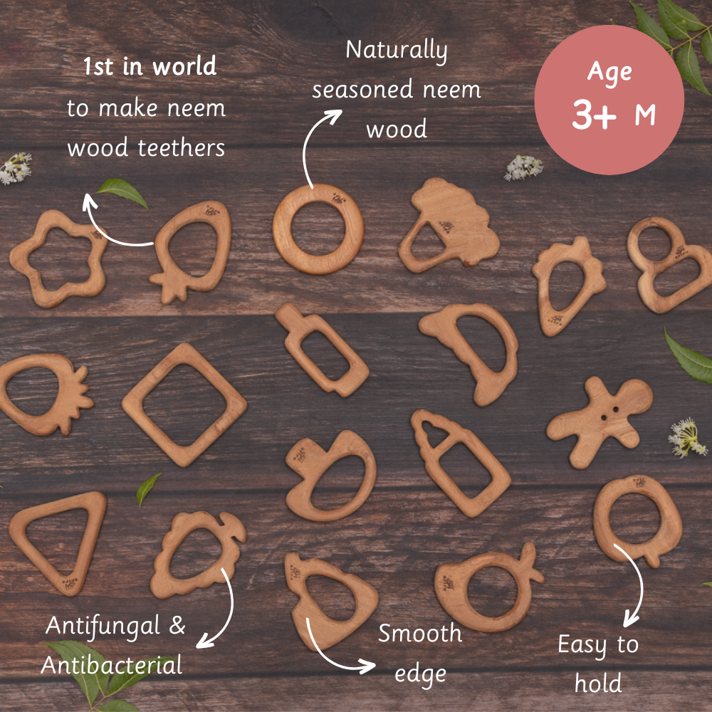 Ariro Toys Wooden Teethers - Fruits