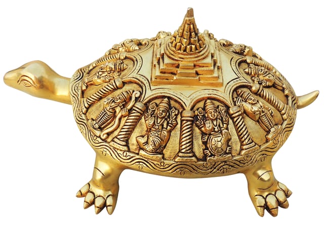 Brass Tortoise