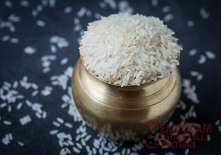 Tanjai Organic - Thooyamalli Rice Boiled Rice - PUSHMYCART