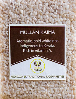 Sempulam Sustainable Solution - Mullan Kaima Rice - PUSHMYCART