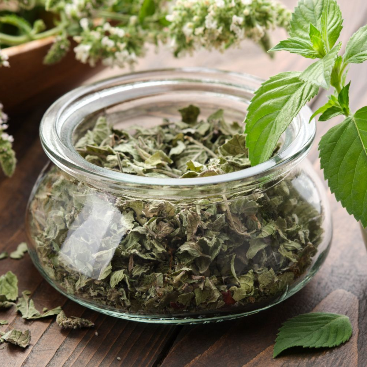 Nutty Yogi Peppermint Leaves Dried 50gm