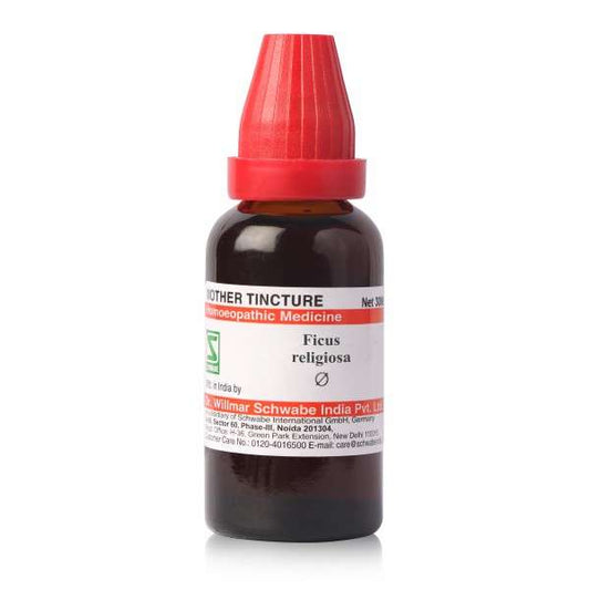 Dr Willmar Schwabe India Ficus Religiosa Mother Tincture Q