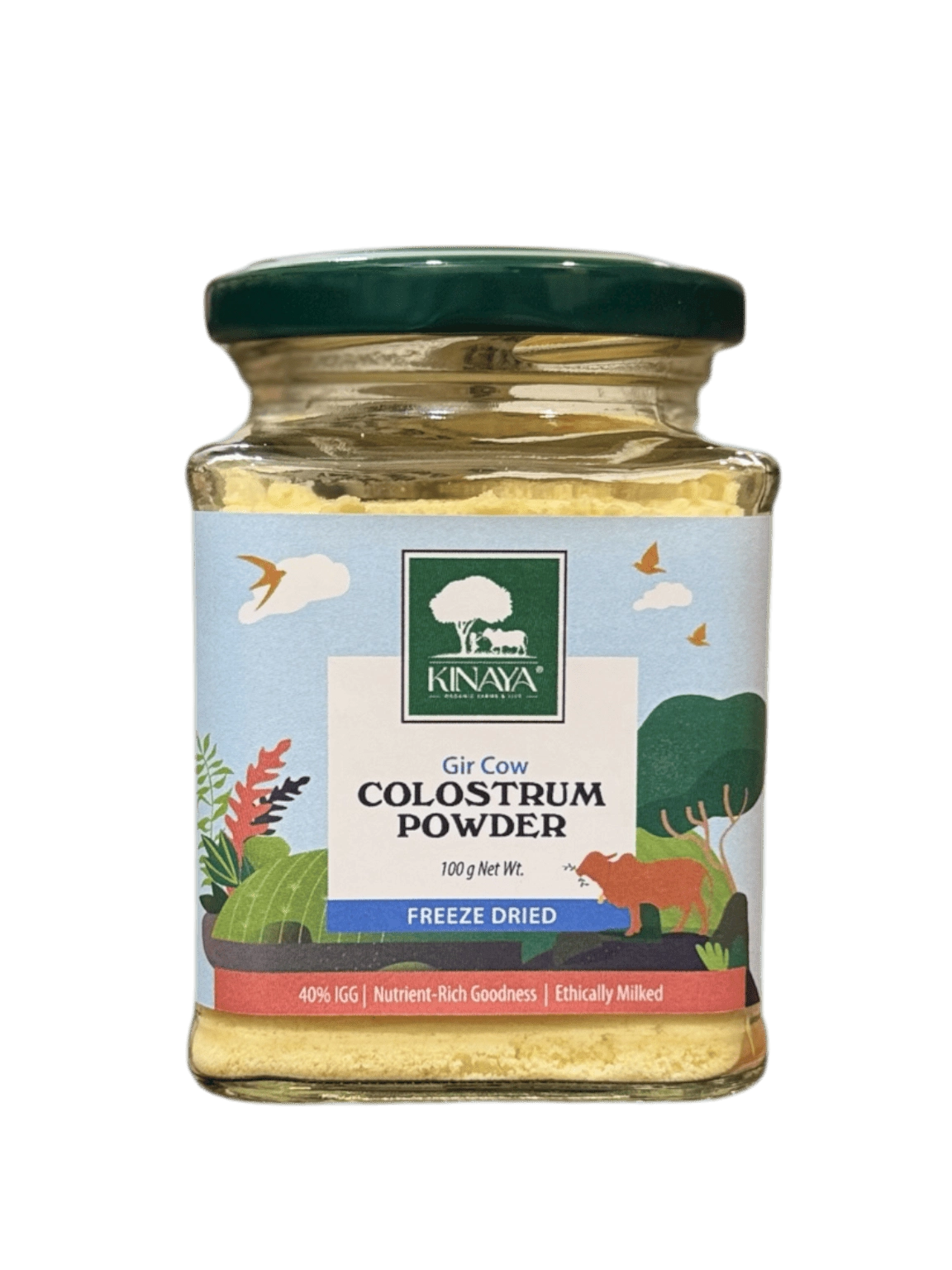 Gir Cow Colostrum Powder (Freeze-Dried)