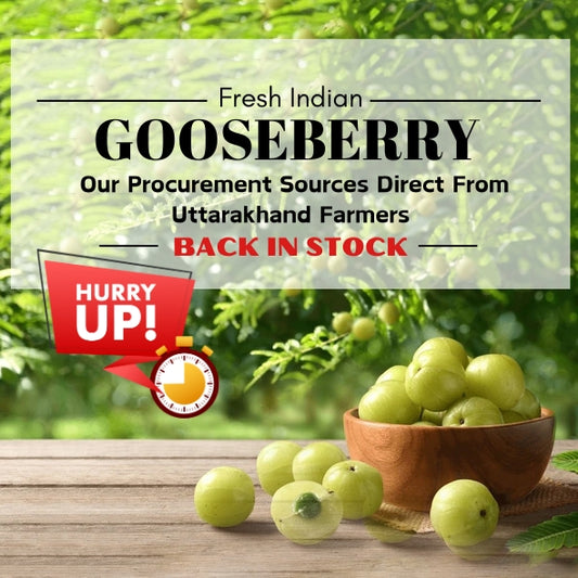 Fresh Indian Amla | Gooseberry