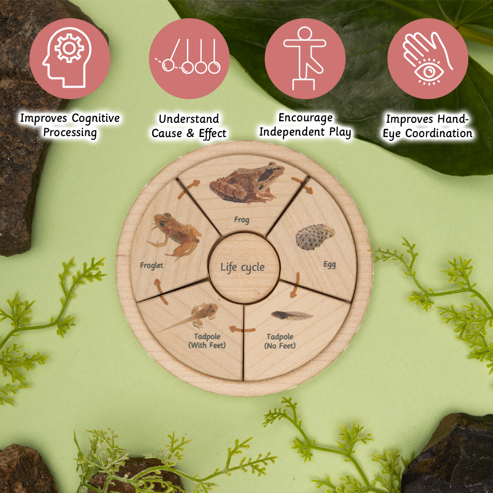 Ariro Toys Life Cycle Puzzle - Oviparous