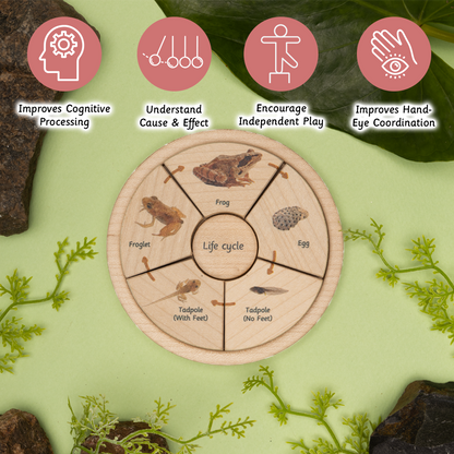 Ariro Toys Life Cycle Puzzle - Oviparous