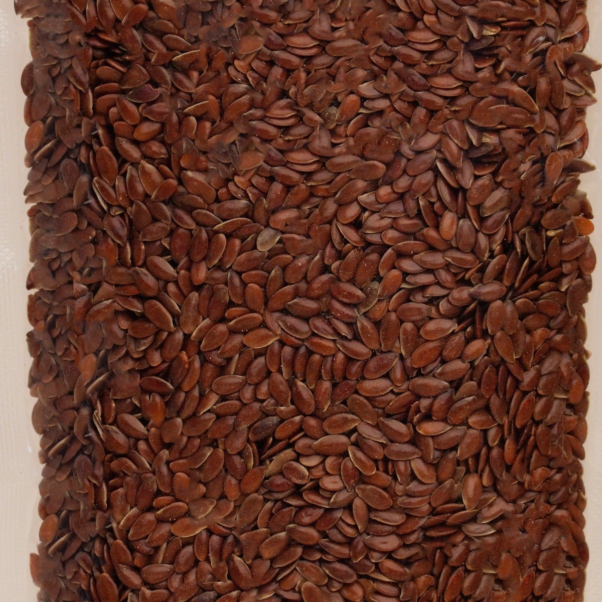 Isha Life Flax Seed 100g - PUSHMYCART