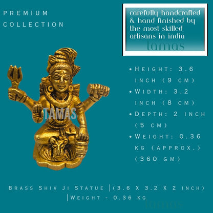 Tamas Brass Shiv Ji Statue - PUSHMYCART