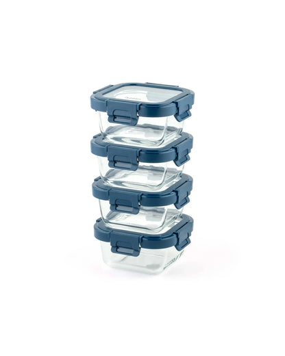 Dubblin Elite Glass Lunch Box Set of 4