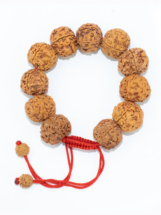 Patanjali Paridhan Rudraksha Bracelet Adjustable Brown