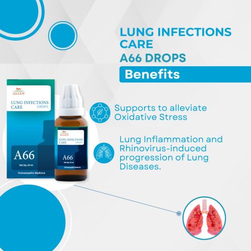 Allen A66 Lung Infections Drop - PUSHMYCART