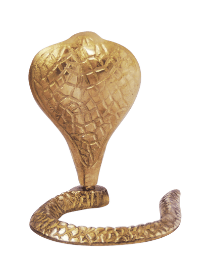 Brass Snake 0.14Kg
