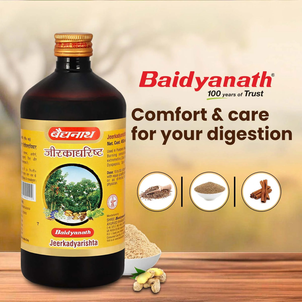 Baidyanath Jeerkadyarishta 450ml