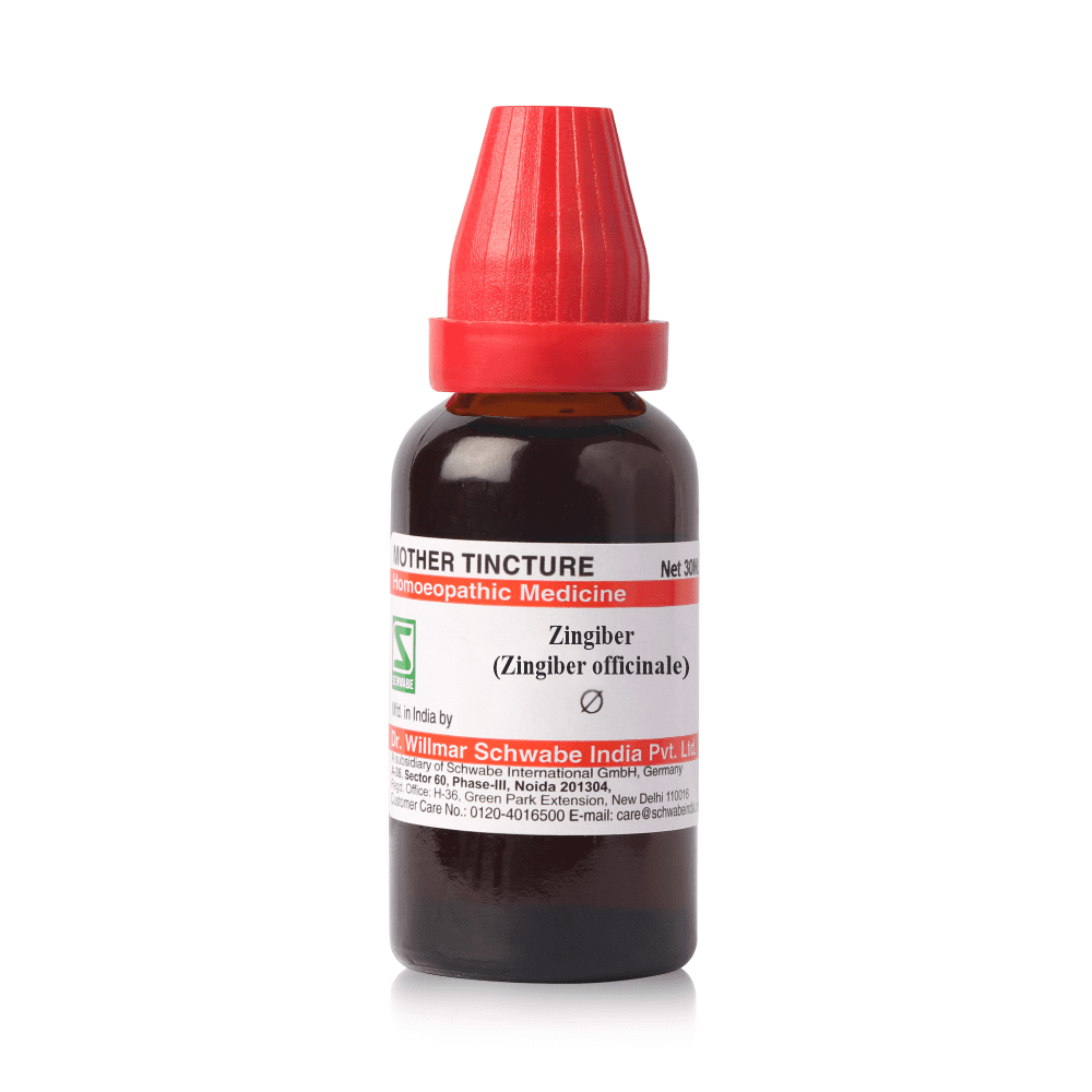 Dr Willmar Schwabe India Zingiber Mother Tincture Q