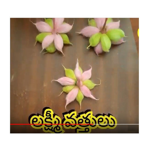 Lakshmi Vattulu   - Pack of 5 - E Pooja store