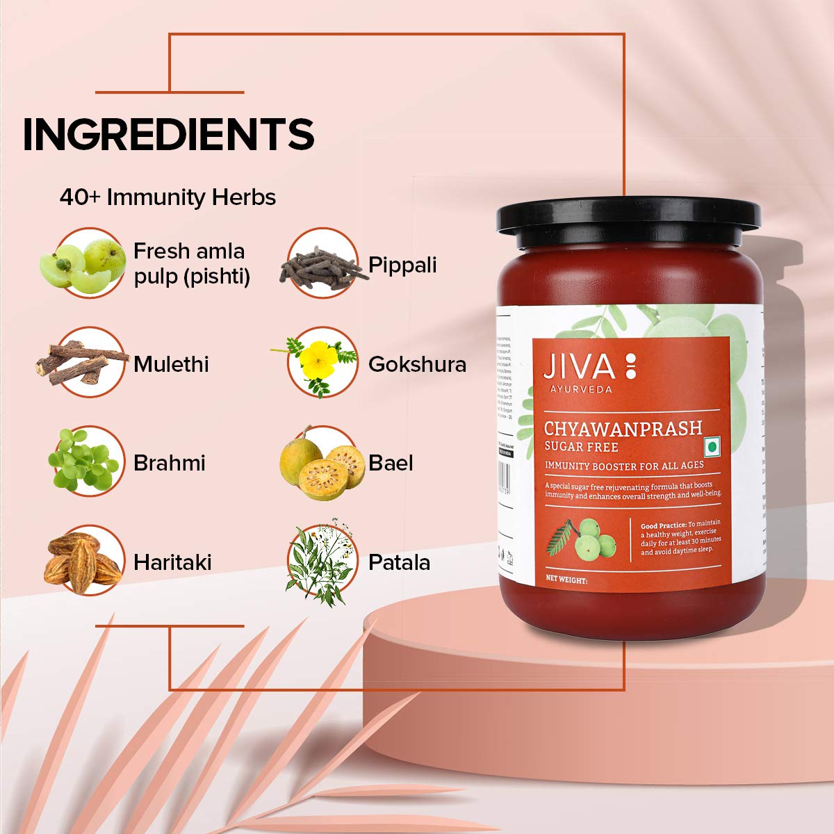 Jiva Ayurveda Chyawanprash Sugar Free