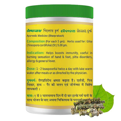 Baidyanath Vansaar Giloy Churna 100g