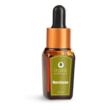 Organic Harvest Narcissus Essential Oil