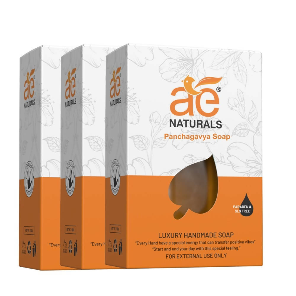 Ae Naturals Handmade Panchagavya Soap 100g
