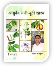Jadi - Buti Rahasya Books - Hindi - PUSHMYCART