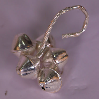 Pure Silver Coconut Bunches 19.73 Grams - PUSHMYCART