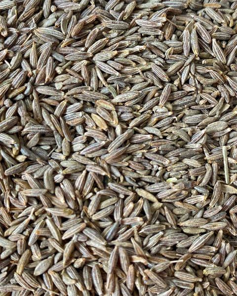 Kalagura Gampa Desi Cumin Seeds - PUSHMYCART