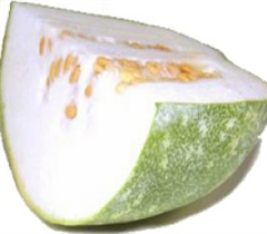 Ash Gourd