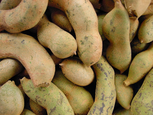 Fresh Raw Green Tamarind