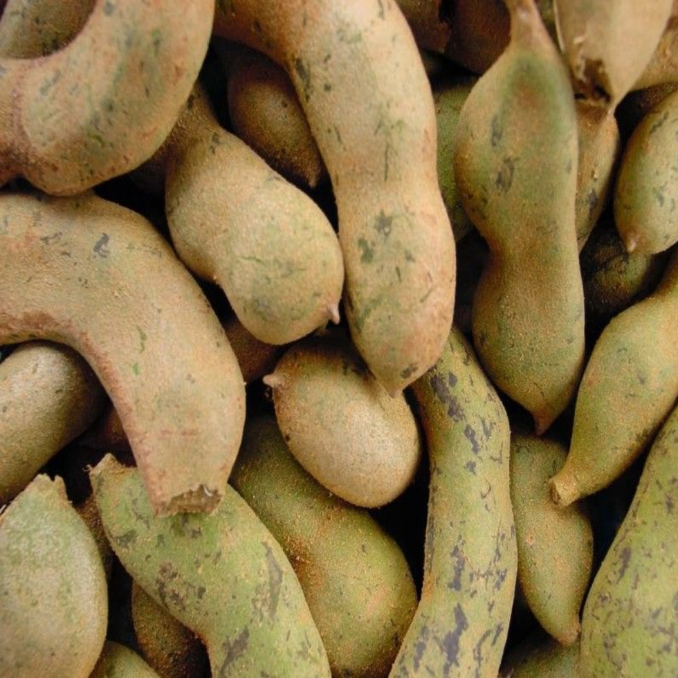 Buy online Fresh Raw Green Tamarind 1 lb – PUSHMYCART