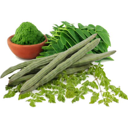 Prakruthi Freshly Dried Drumstick Leaves