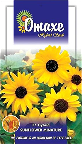 Omaxe Sunflower Miniature Seeds Packet - PUSHMYCART