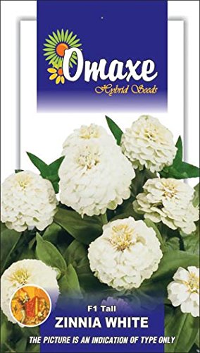 Omaxe Zinnia F1 Tall White Seeds - PUSHMYCART