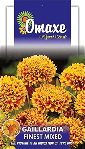 Omaxe Gaillardia Finest Mixed Seeds - PUSHMYCART