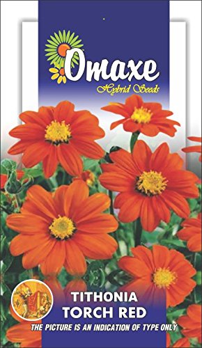 Omaxe Tithonia Torch Red Seeds - PUSHMYCART