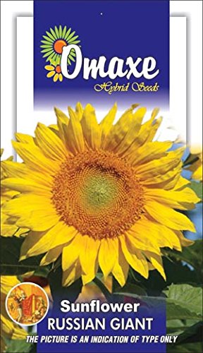 Omaxe Sunflower Full Bloom Seeds - PUSHMYCART