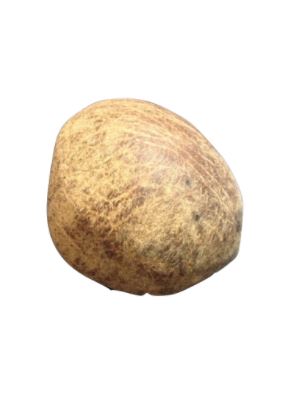 Full Dry Coconut - PUSHMYCART