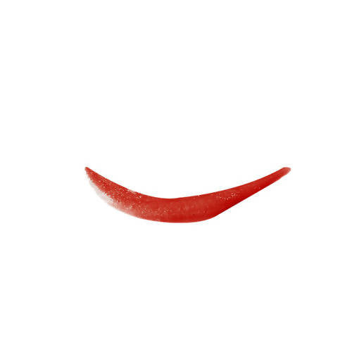 Soultree Ayurvedic Lip Gloss | Rich Earth