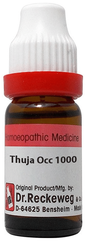 Dr. Reckeweg Thuja Occ Dilution 1000 CH 11ml – PUSHMYCART